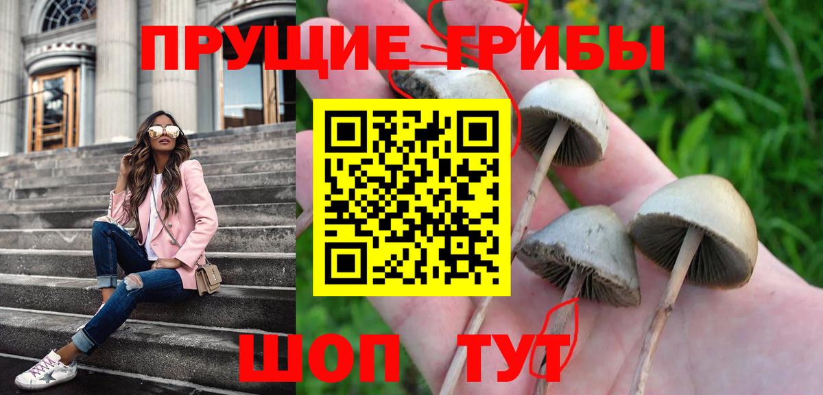 Галлюциногенные грибы MAGIC MUSHROOMS  Вход с VPN  Симферополь  Псилоцибиновые грибы ЛСД 