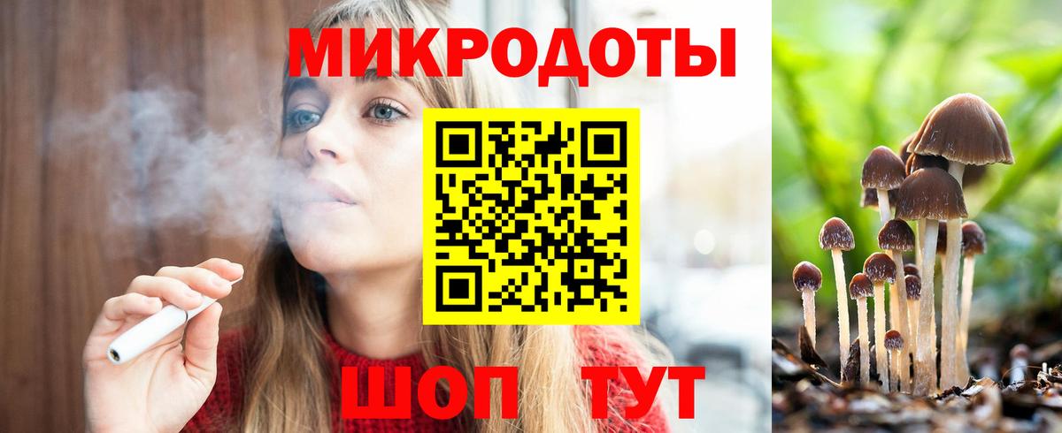 Псилоцибиновые грибы Psilocybe Симферополь
